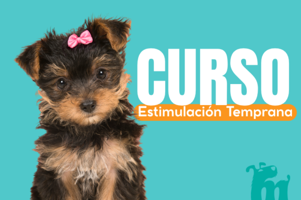 Estimulación Temprana