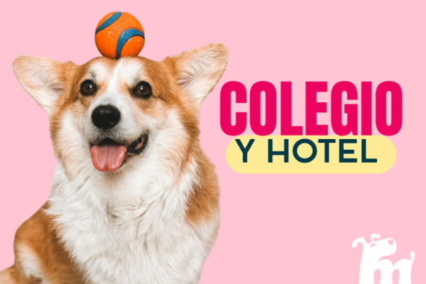 Colegio y guardería