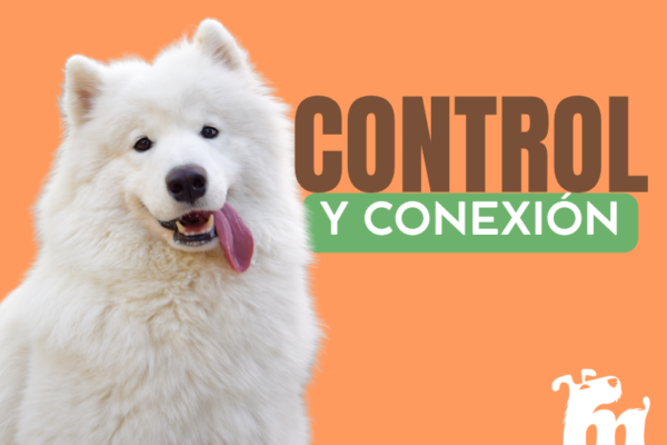 Control y Conexión