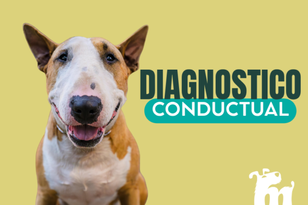 Diagnostico Conductual