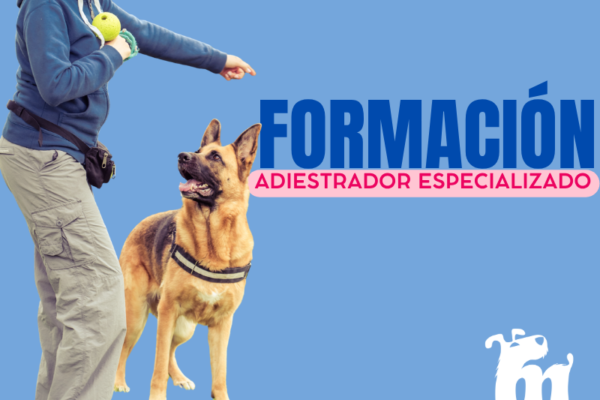 formación Adiestrador Especializado