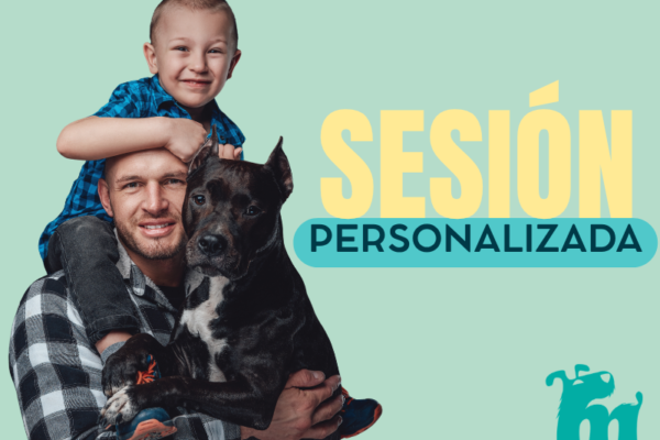 Sesiones personalizadas